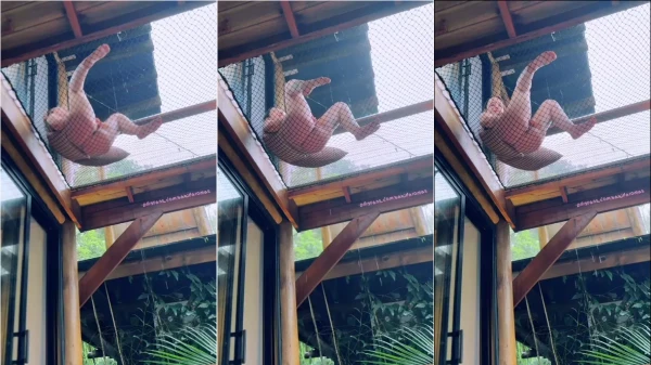 Vídeo da Babi Palomas se divertindo com a sua xereca